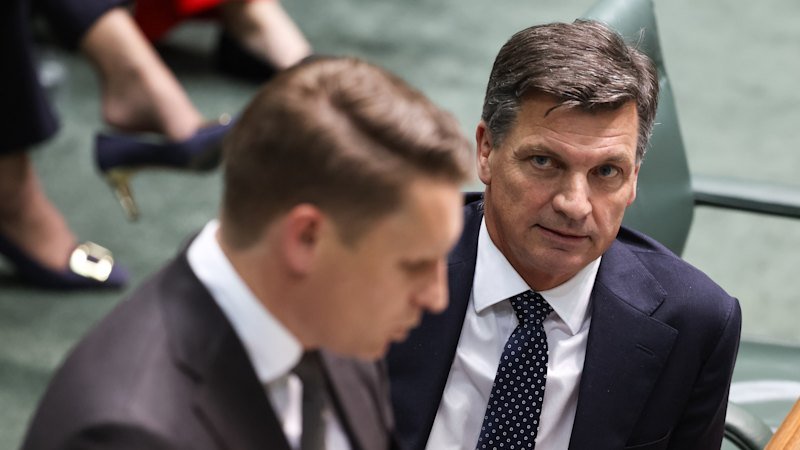 Can Andrew Hastie turn Pauline Hanson from victim to villain?