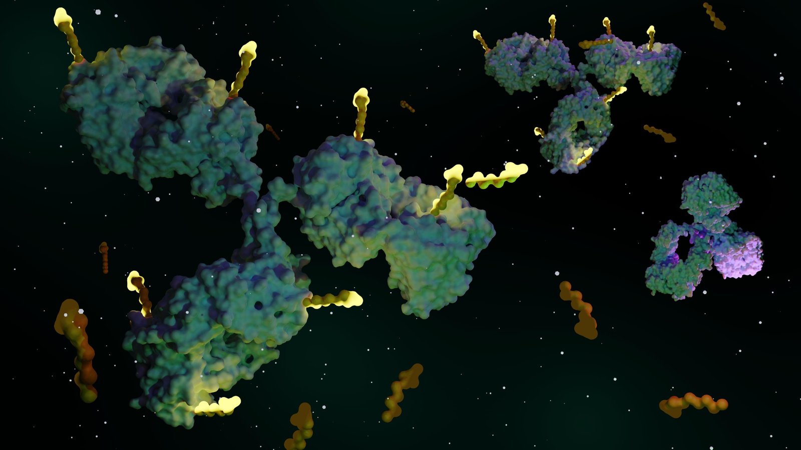 A Simpler Way To Build Antibody Cancer Drugs