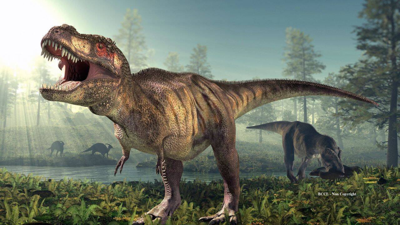 T. rex walked across North America 66.5 million years ago, fossil tracks show