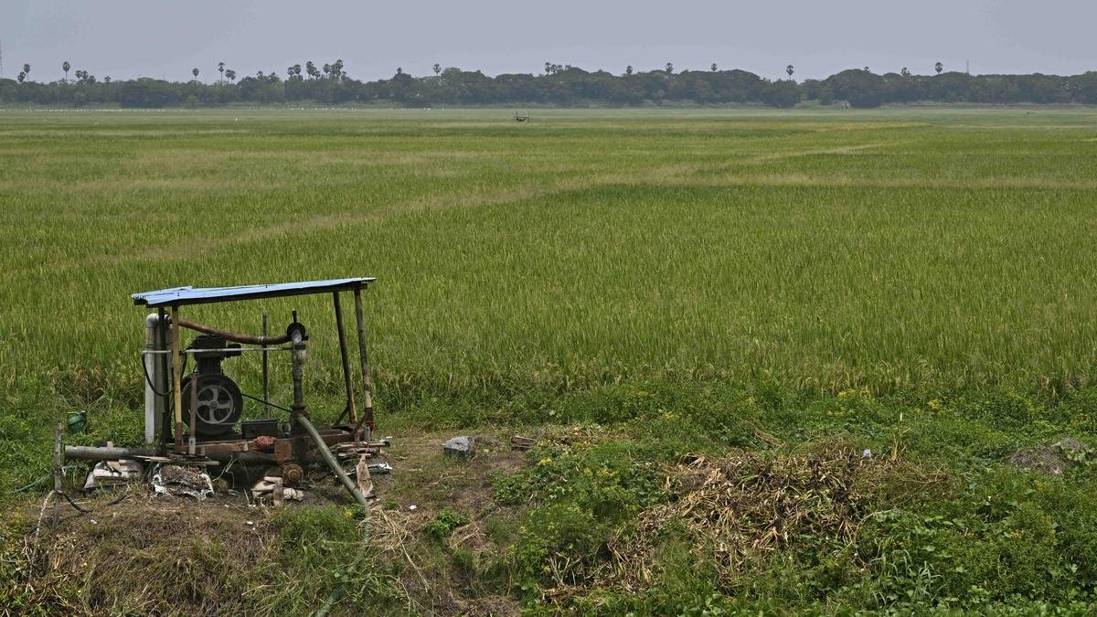Puducherry’s Bahour lake shrinks amid encroachments, clogged feeder channels