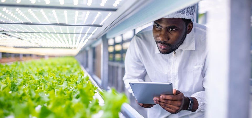 Indoor Farming Gets A Hand From Open Hardware Development