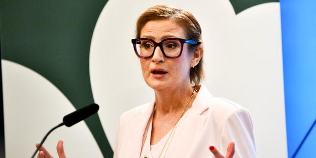 'When you're that sick, you reflect on the values that matter most': Sweden's Birgitta Ohlsson returns to fight the far right