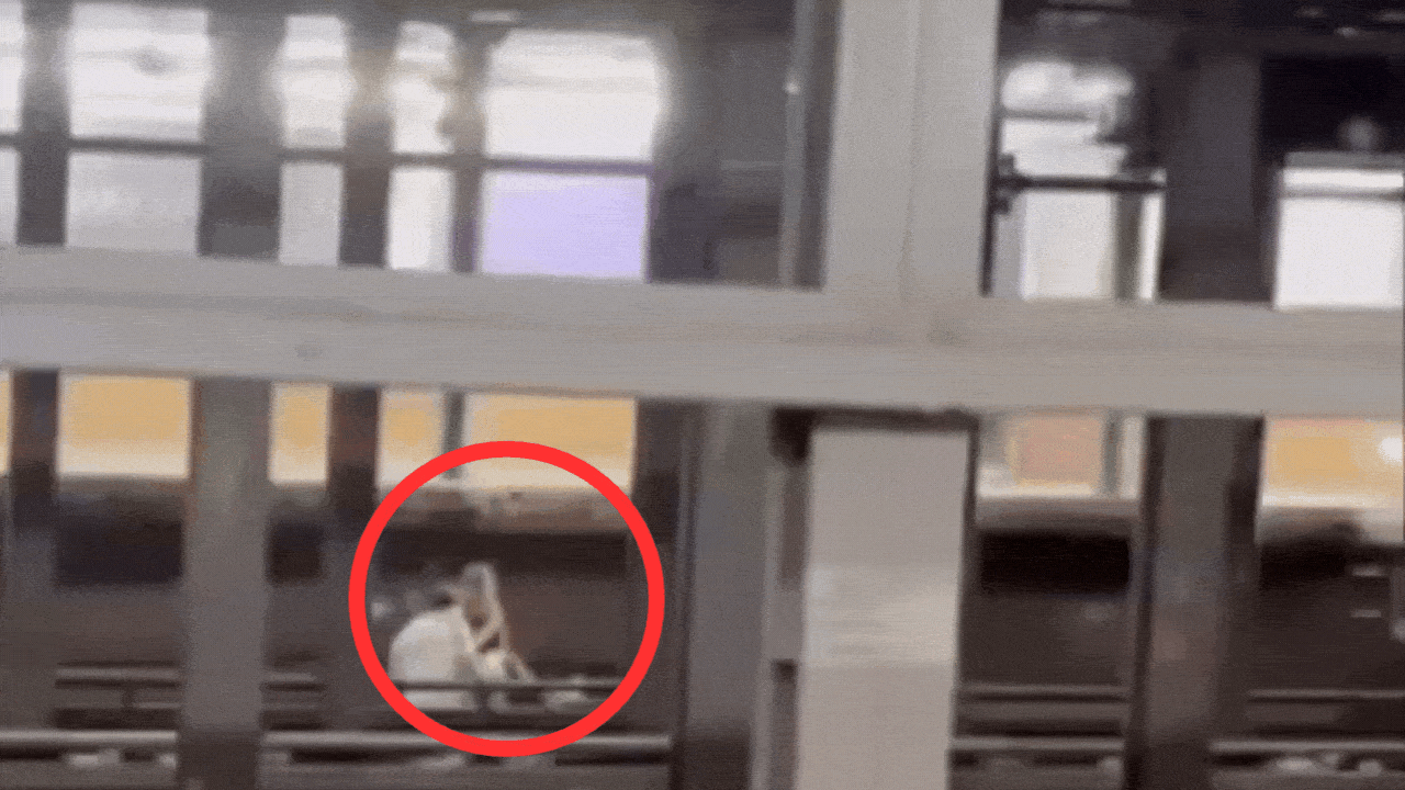 'Was laughing': Video shows Indian-origin woman, friend moments before NYC subway train ran over them
